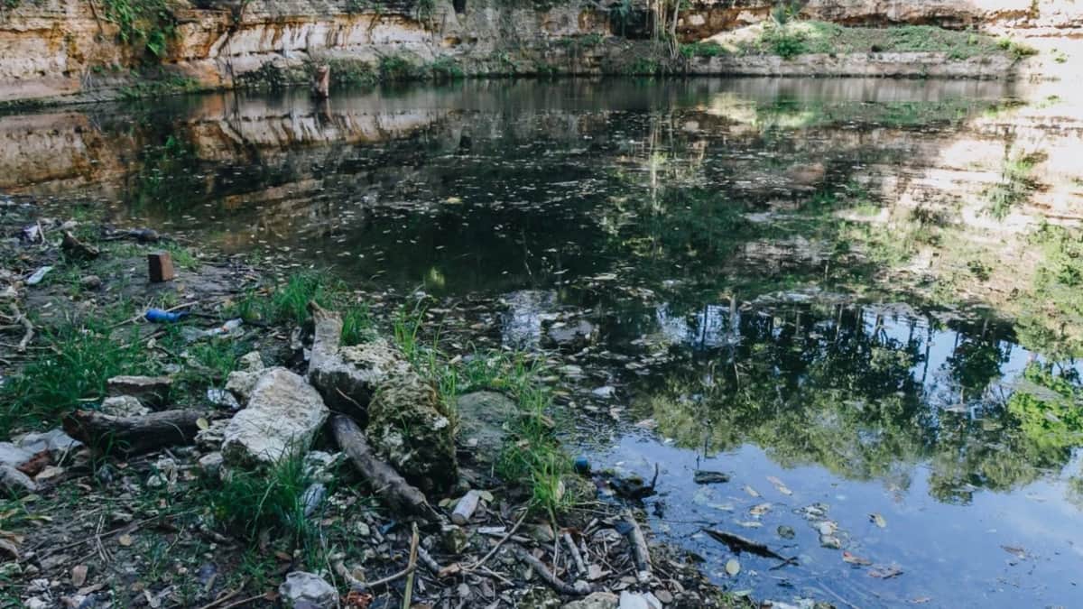 Más de 160 lotes en Playa del Carmen descargan directamente en el subsuelo y contaminan los cenotes