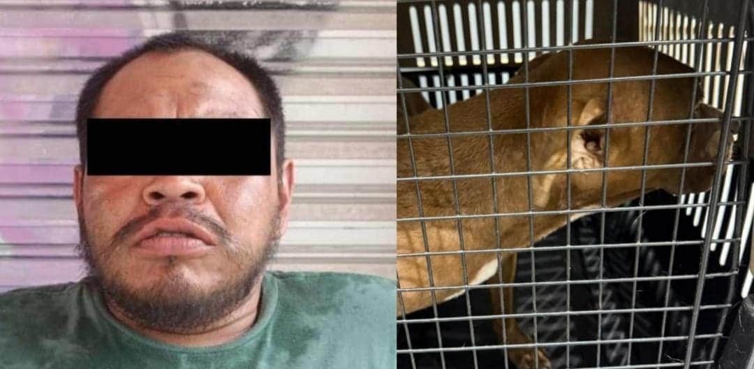 Detienen a un sujeto acusado de zoofilia en la Región 237 de Cancún