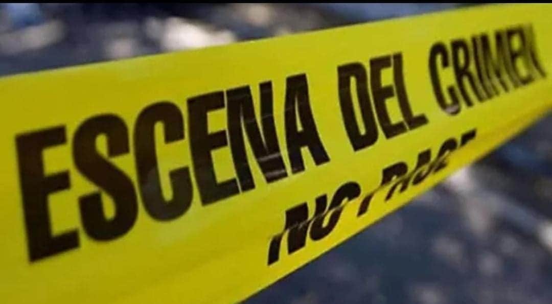 Encuentran varios cuerpos en un rancho de Leona Vicario, Quintana Roo