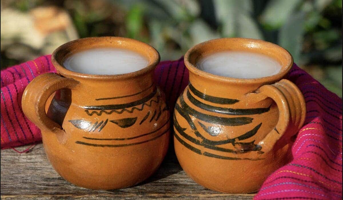 Navidad con sabor a pulque: llega el Tianguis Navideño a CDMX