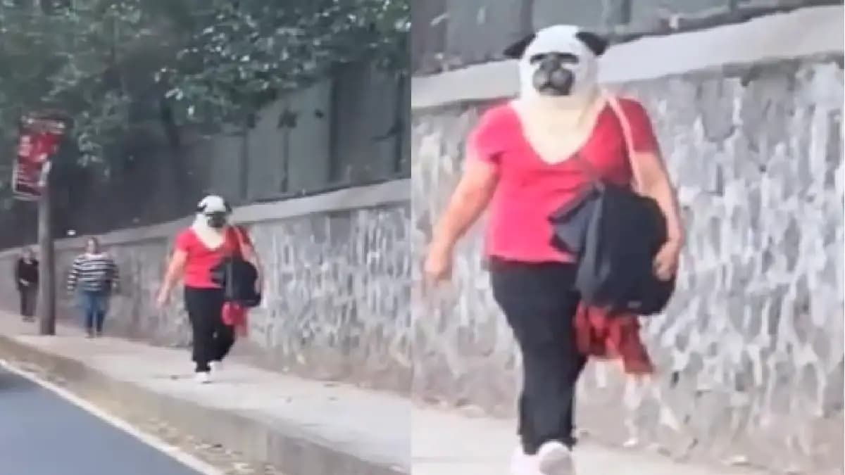 Video: Mujer sorprende en redes al lucir una máscara de perro realista en México