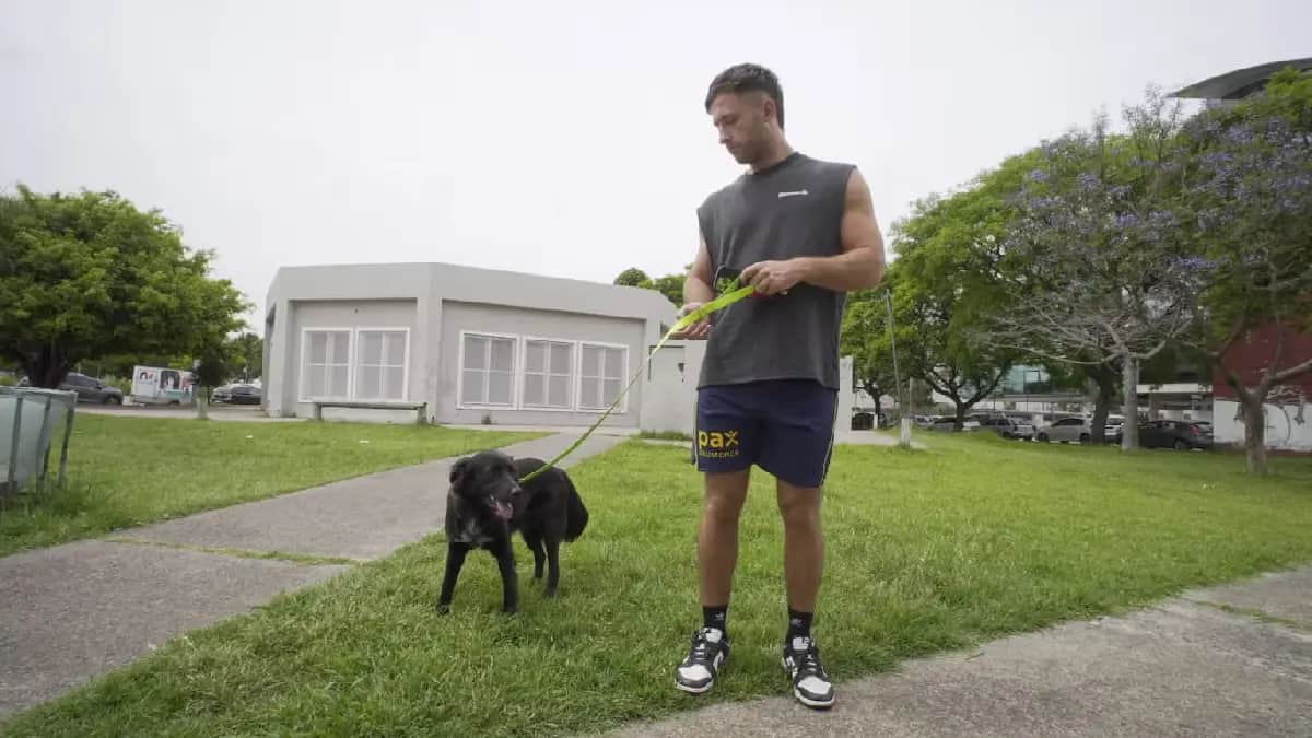 Joven renuncia a salario de 3 mil 500 dólares para pasar más tiempo con su perro en Argentina