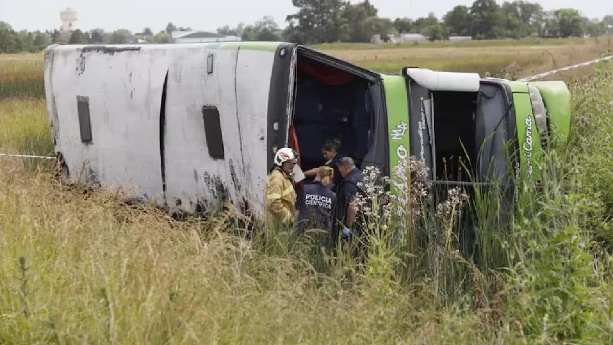 Video: Mueren dos personas y 40 quedan heridas tras volcarse un autobús en Buenos Aires, Argentina