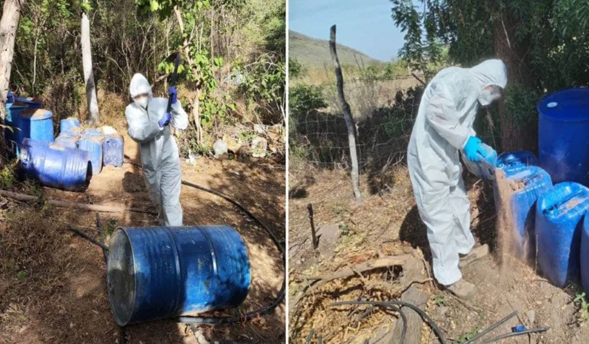 Golpe al narco: operativos en Sinaloa dejan decomisos por más de mil millones de pesos