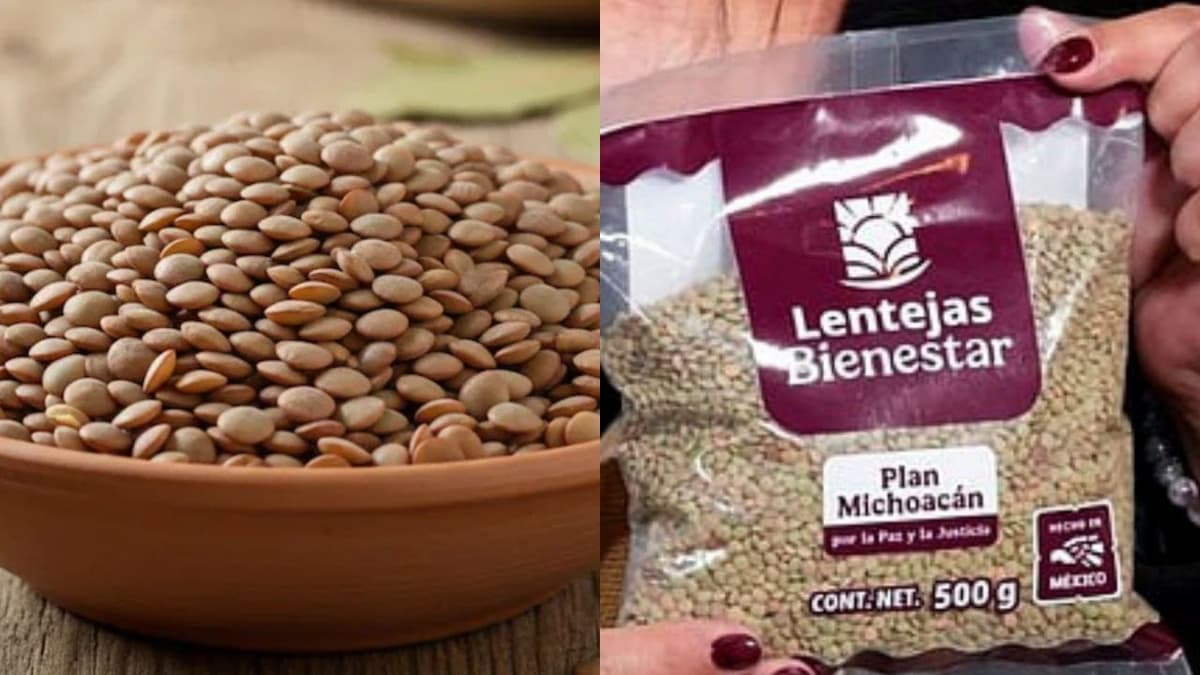 Gobierno de México presenta las "Lentejas Bienestar" producidas en Michoacán