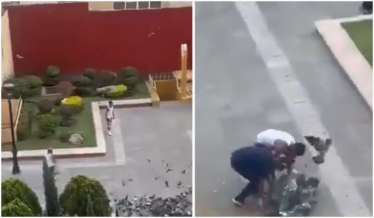 Video: Detienen a dos hombres por capturar palomas con red en el centro de Aguascalientes