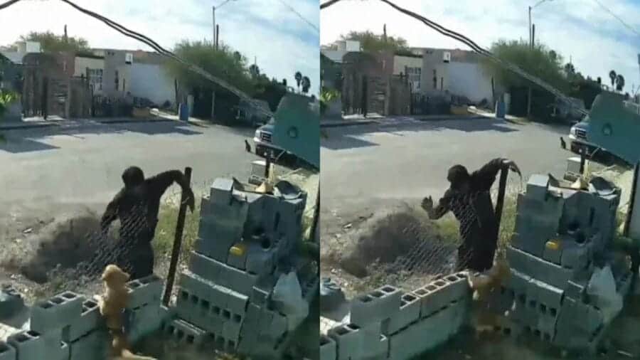 Video: Hombre asfixia y patea brutalmente a un perro en Sabinas, Coahuila