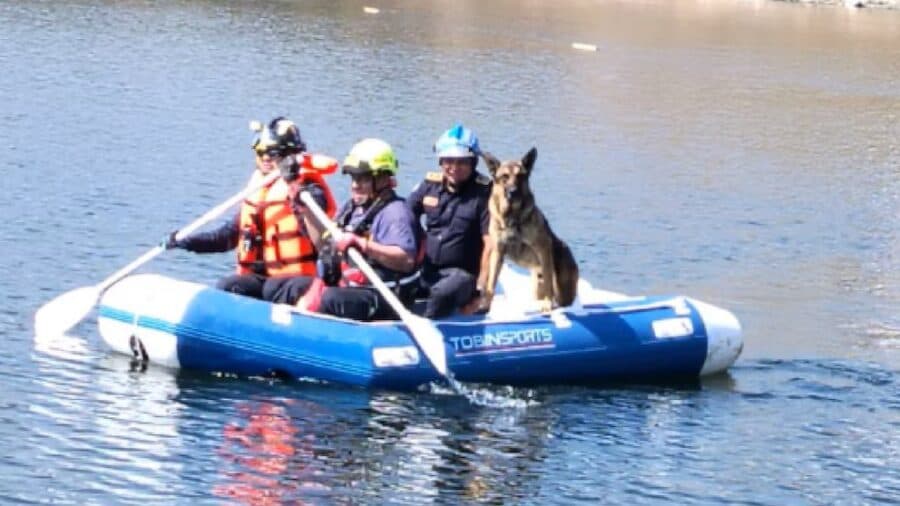Video: Rescatan a lomito atrapado en un barranco de la Presa Madín, en Edomex