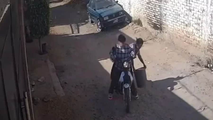Video: Abandonan gatito amarrado dentro de una bolsa en León, Guanajuato