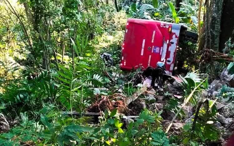 Cae autobús a barranco y deja 20 pasajeros lesionados en Naranjal, Veracruz