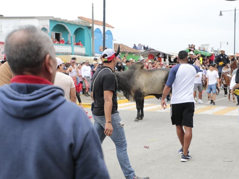 Festejo de La Candelaria deja seis heridos tras suelta de toros en Tlacotalpan, Veracruz