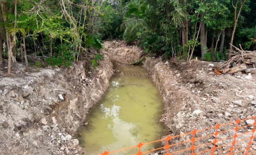 Conceden suspensión definitiva contra "Perfect Day", obra de Royal Caribbean en Mahahual, Quintana Roo