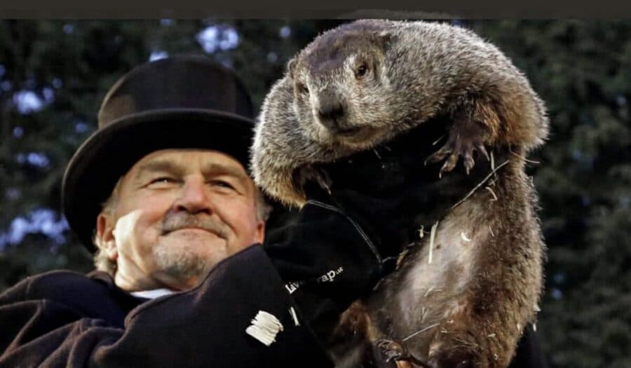 Phil, la marmota, anticipa seis semanas más de invierno en Estados Unidos