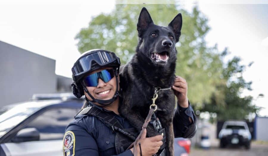Perro policía muere a machetazos tras defender a víctimas de violencia familiar en Chihuahua