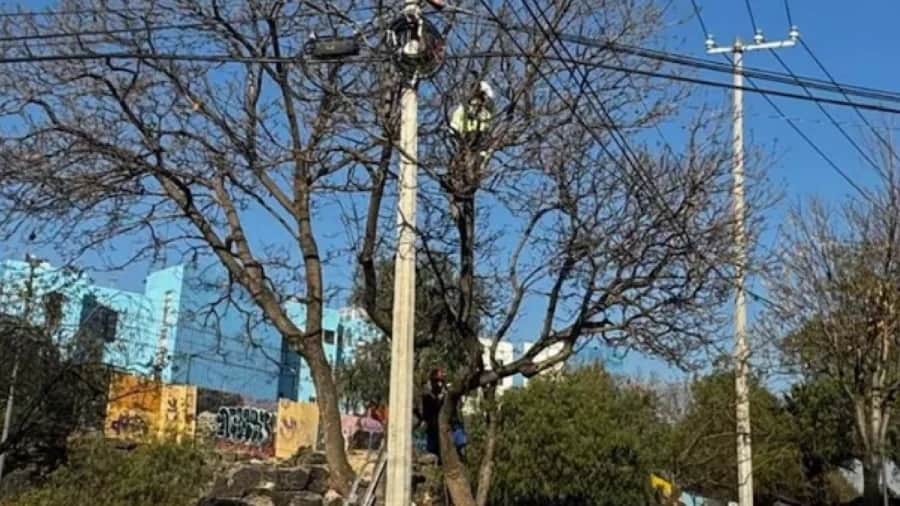 Video: Sujeto desnudo trepa un poste de luz en Coyoacán, Cdmx