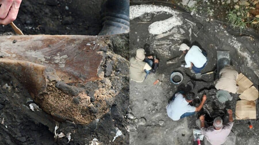 Hallan fósiles de perezoso gigante y mastodonte de más de 10 mil años en Costa Rica