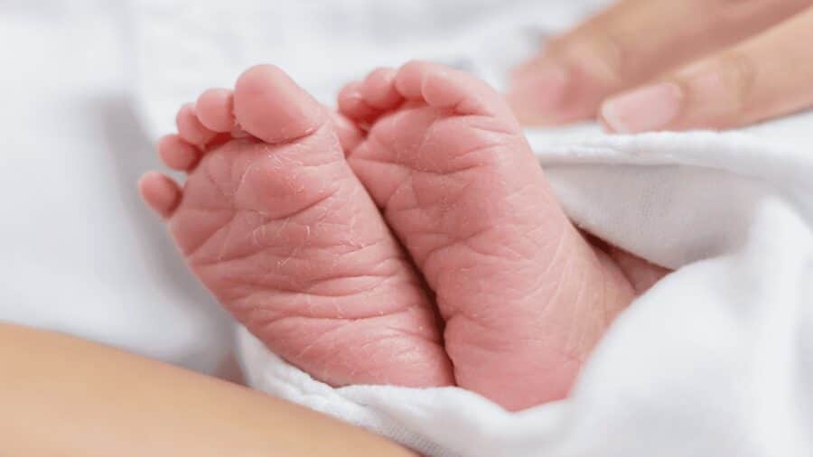 Hallan muertos a bebés dentro de un refrigerador en Francia