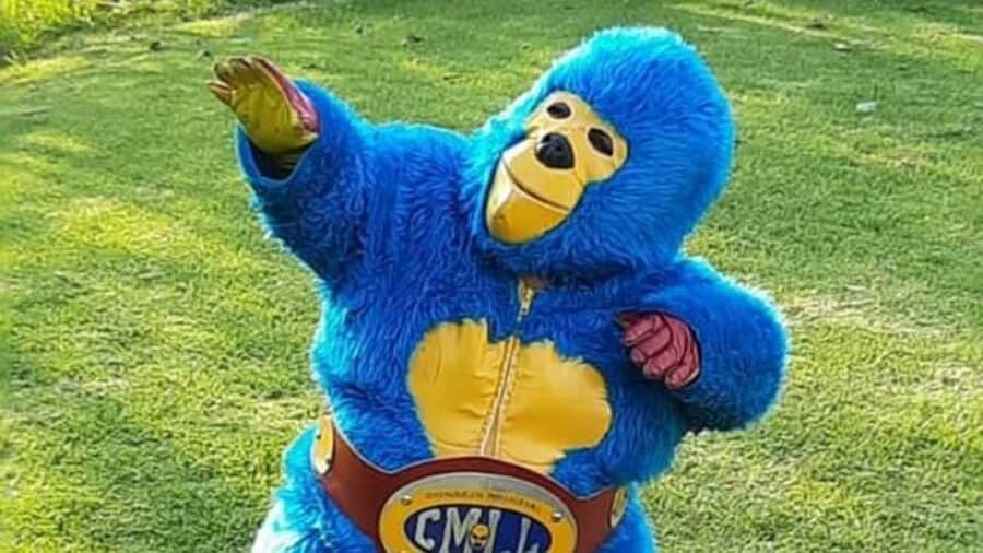 Video: Luchador "Kemonito" denuncia acoso laboral por parte del Consejo Mundial de Lucha Libre