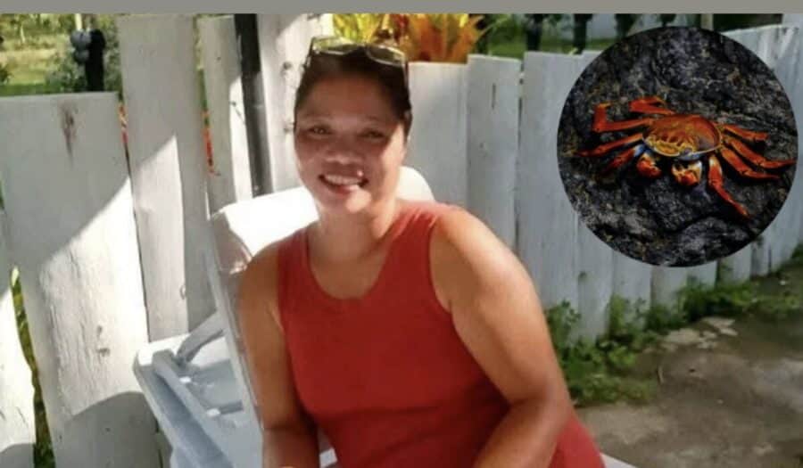 Sopa mortal: Influencer muere tras comer cangrejo venenoso en Filipinas