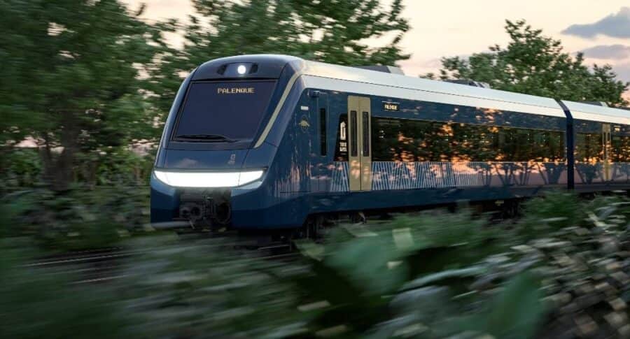 Activistas obtienen suspensión provisional para supervisión ambiental del tramo 5 del Tren Maya