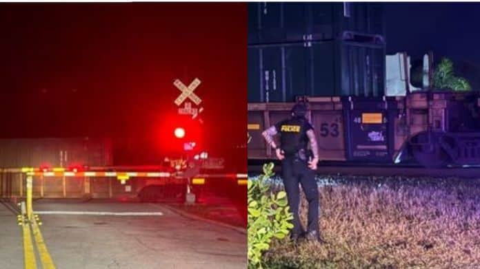 Peatón muere y otro queda gravemente herido por incidente con tren en Florida, Estados Unidos