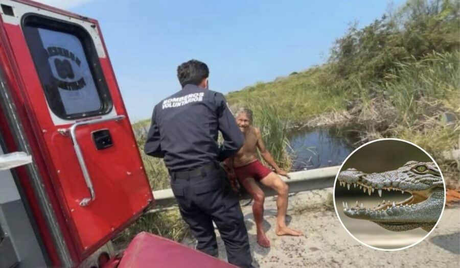 Adulto mayor queda con el brazo desgarrado tras ataque de cocodrilo en Tamaulipas