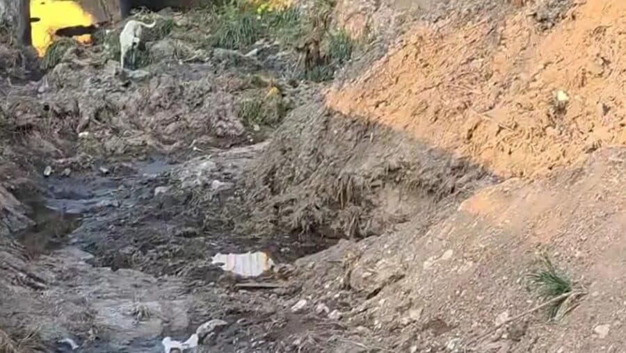 Encuentran a una bebé sin vida a un costado de un canal de aguas negras en Tulancingo, Hidalgo