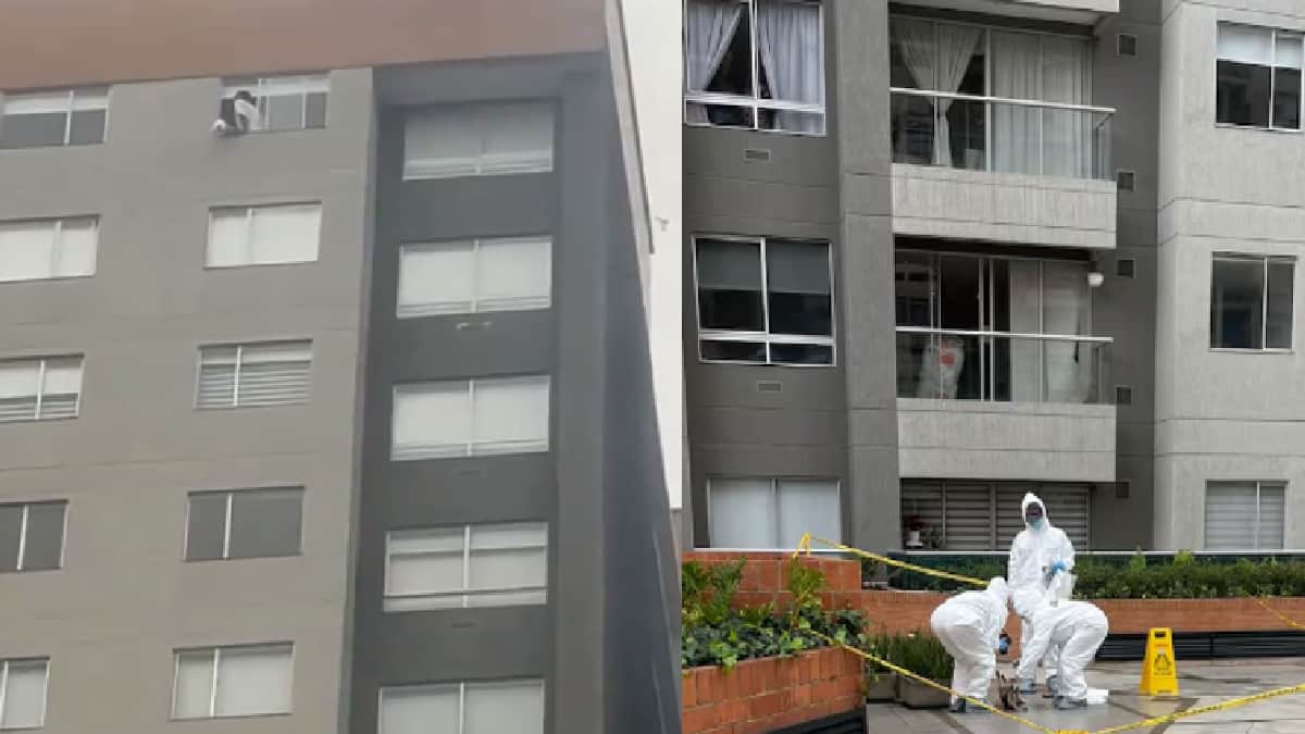 Video: Sujeto mata a perrito tras arrojarlo desde un piso 25 en Colombia