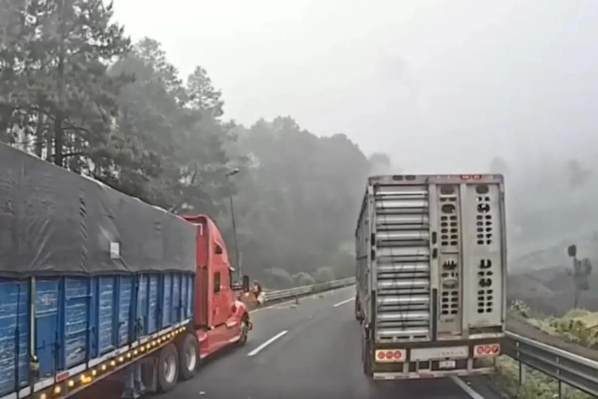 Video: Sujetos armados se hacen pasar por cuadrilla de mantenimiento y roban camión con ganado en Veracruz