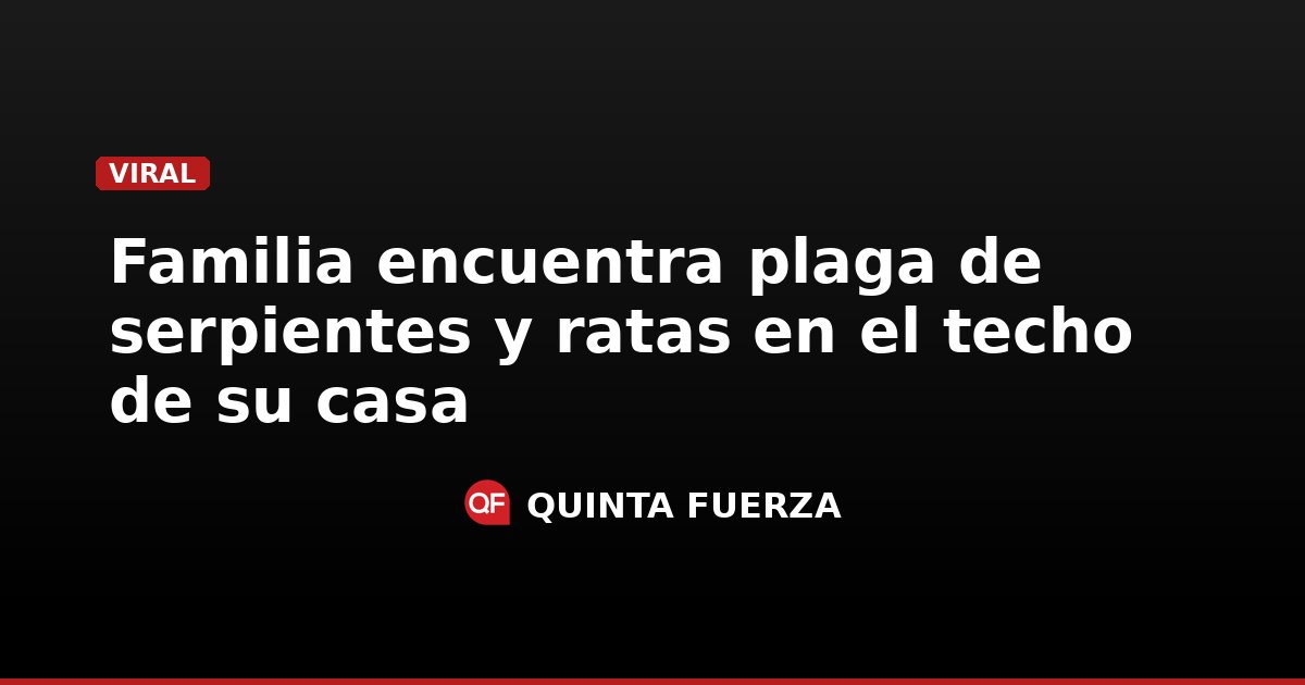 Familia encuentra plaga de serpientes y ratas en el techo de su casa