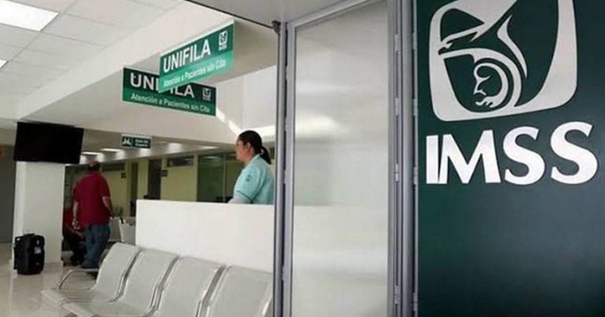 Nss Number Número de Seguridad Social (NSS): conozca cómo obtenerlo o conocerlo