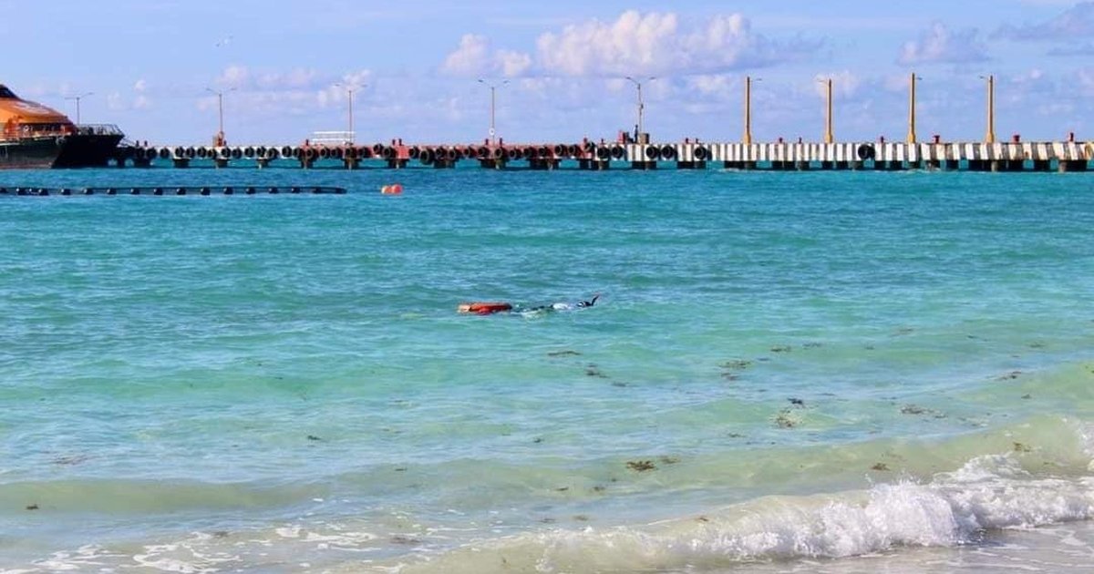Playa del Carmen es sede de Premios Nacionales de Turismo Sostenible ...