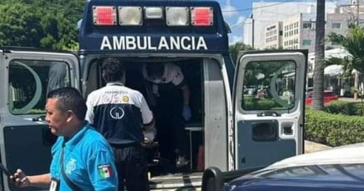 Secuestran a trabajadores del Tren Maya en Playa del Carmen ...