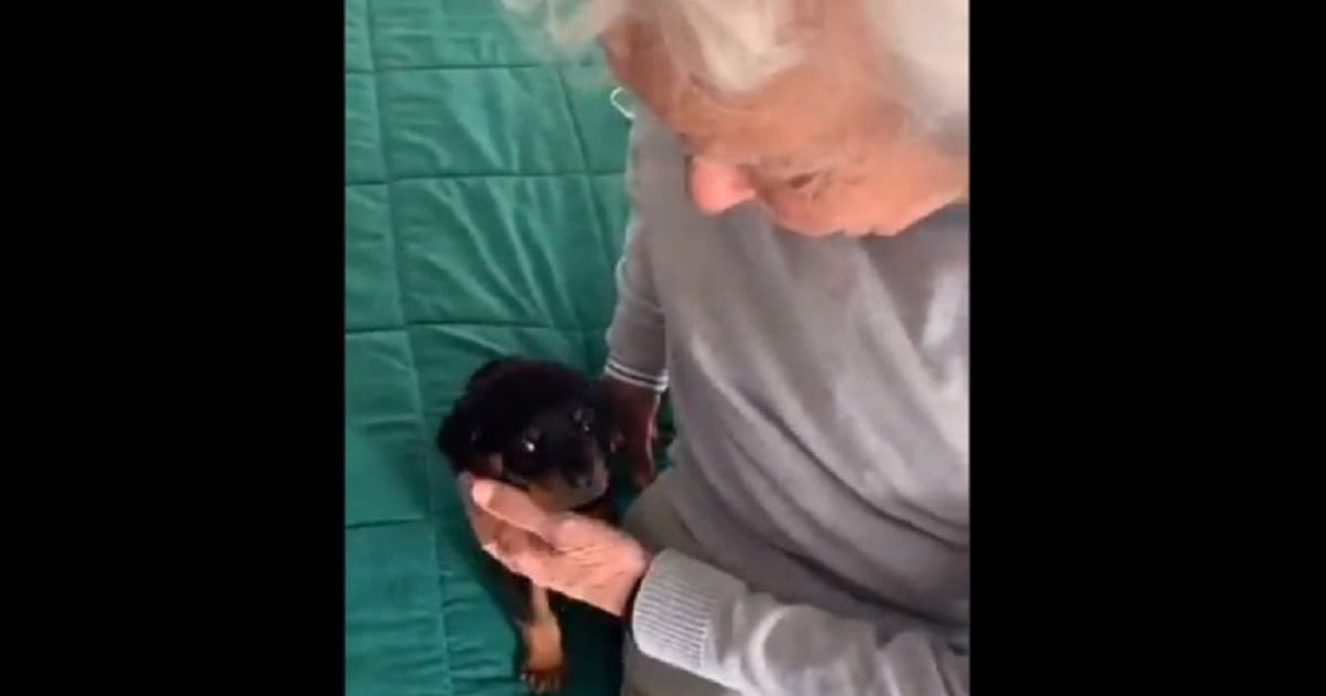 VIDEO: Abuelito de TikTok enternece a las redes sociales cuando le ...