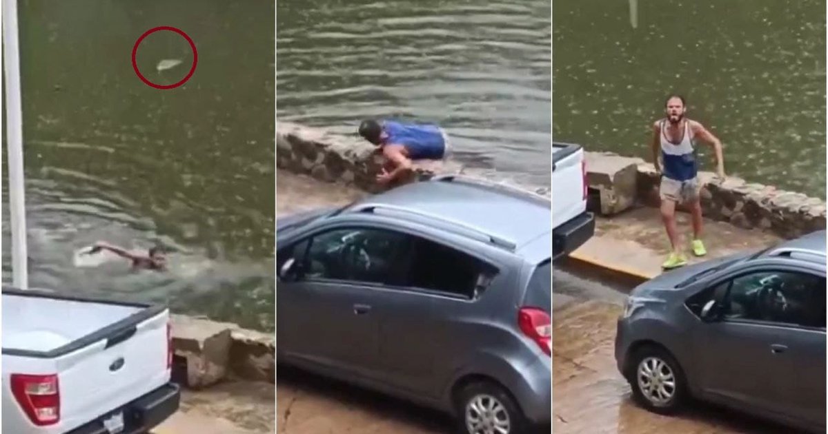 Video: Hombre se salva de ser devorado por 7 cocodrilos en laguna de ...