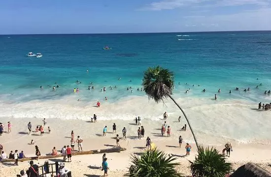 Tulum Playas Playas Libres