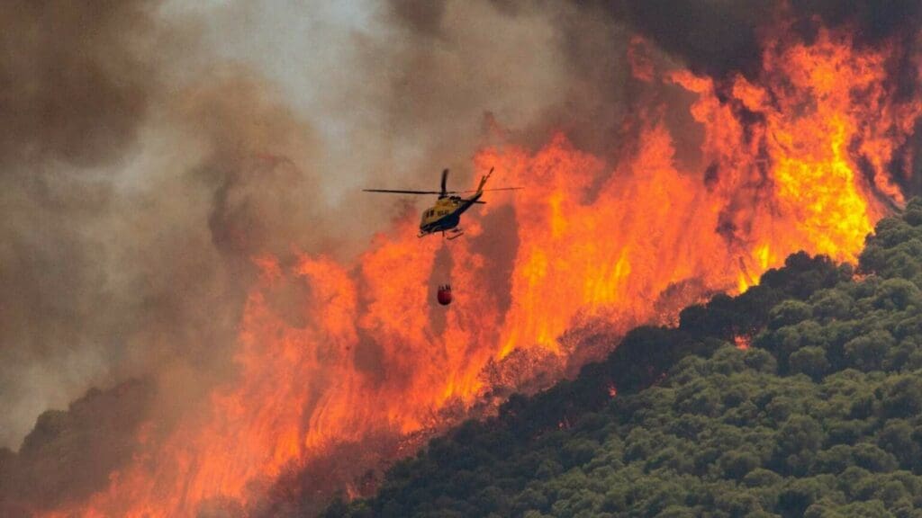 Incendio en un parque de la Patagonia argentina arrasa con más de 2 mil hectáreas