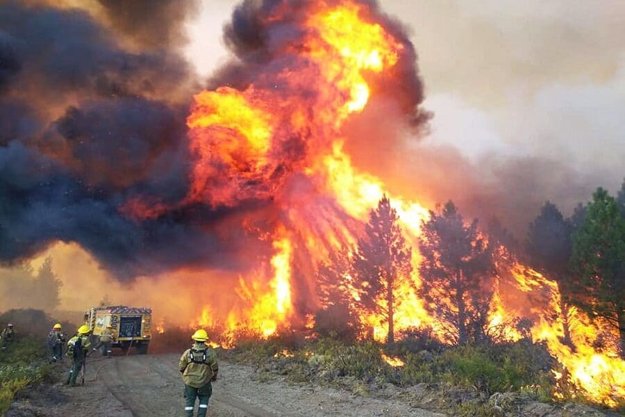 Incendio en un parque de la Patagonia argentina arrasa con más de 2 mil hectáreas