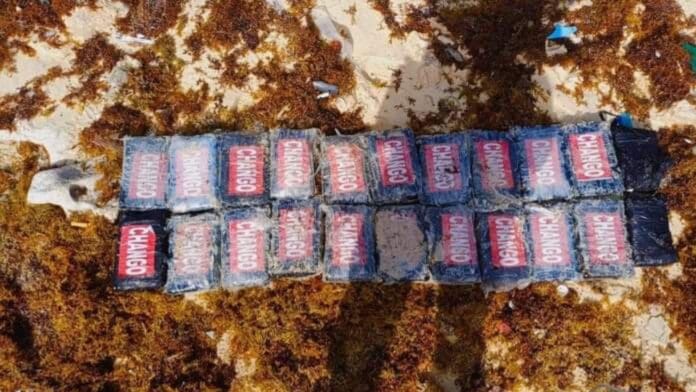 Recalan 22 paquetes de cocaína en Cozumel con un valor de 6 mdp