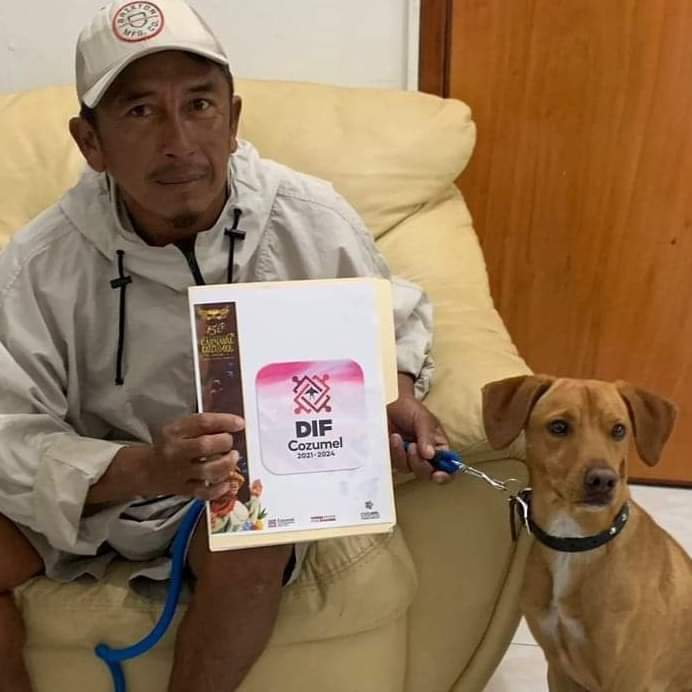 Canelo, perrito rescatado en naufragio fue registrado como candidato a rey del carnaval de Cozumel