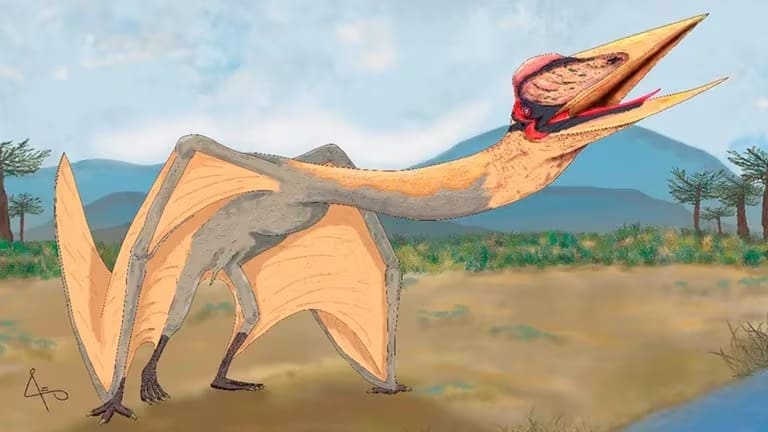 Descubren un nuevo fósil de un dinosaurio volador en Escocia