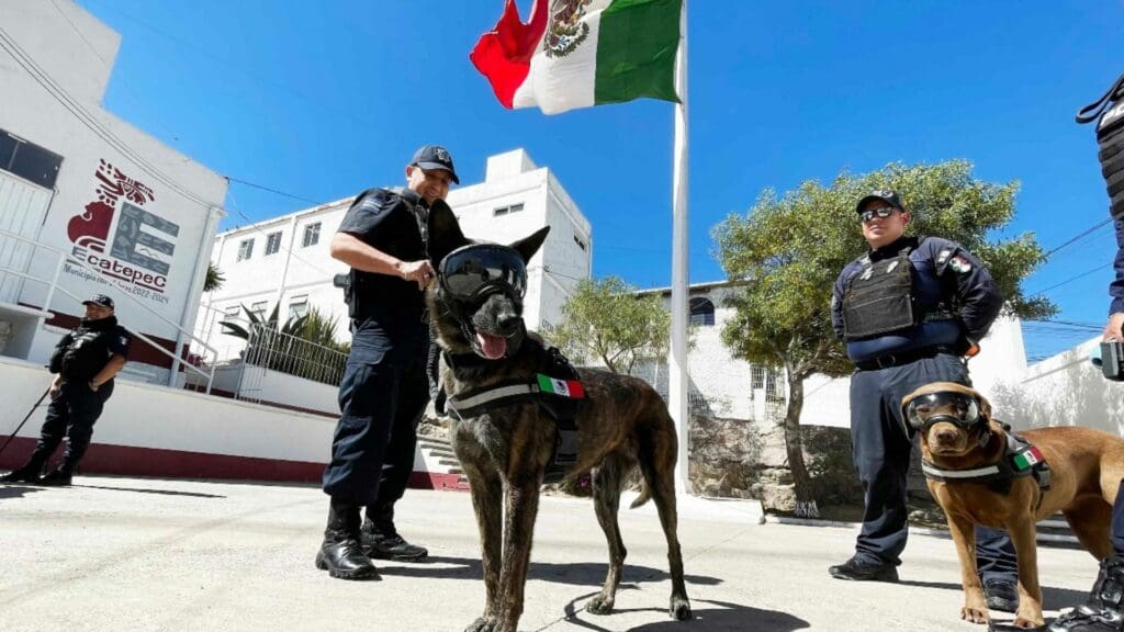 Edomex: Conoce a Rigoberto, binomio jubilado; ahora busca hogar