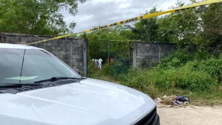 Localizan restos humanos en un área verde en Bonfil; se presume son varios cuerpos