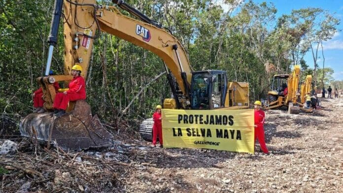 Ambientalistas se manifestarán para exigir se cumpla la ley en el Tramo 5 Sur del Tren Maya