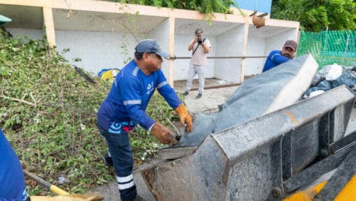 Campañas en Playa del Carmen mantienen a raya el dengue