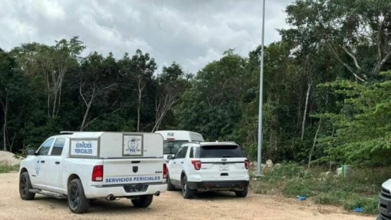 Localizan presuntos restos humanos en operativo de búsqueda en Cancún