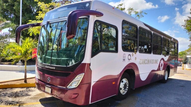 Transporte público de Cancún será renovado con unidades eléctricas: Imoveqroo