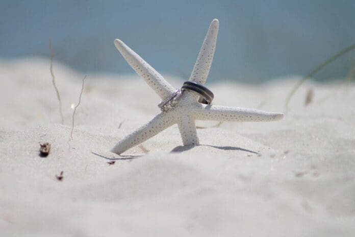 El turismo de bodas cada vez crece más en Playa del Carmen. Para muestra la gran cantidad de enlaces que se tienen planeados en abril y mayo.