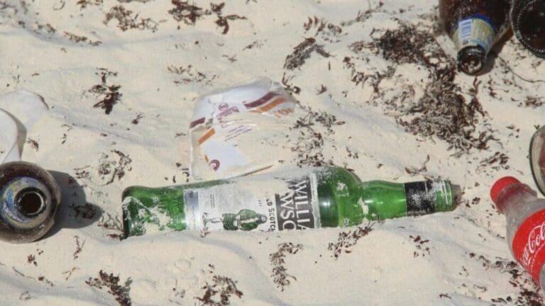 Botellas y latas de cerveza representan más del 40% de basura que se genera en las playas de Cancún