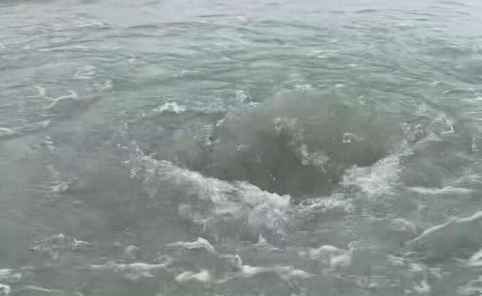 Los “ojos de agua” que se han reportado en varios puntos de Playa del Carmen en los últimos días podrían ser un nuevo atractivo del destino.